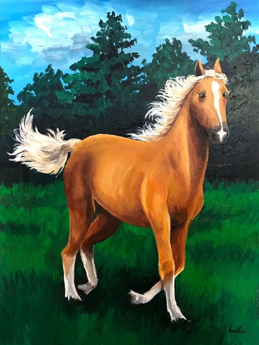 Pueblo, Horse Portrait